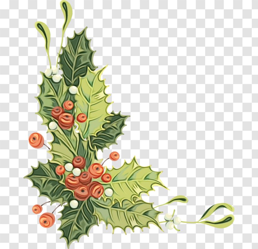 Holly - Twig - Colorado Spruce Transparent PNG