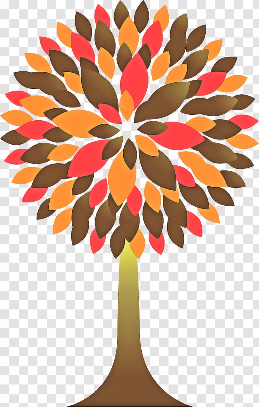 Orange - Plant Transparent PNG