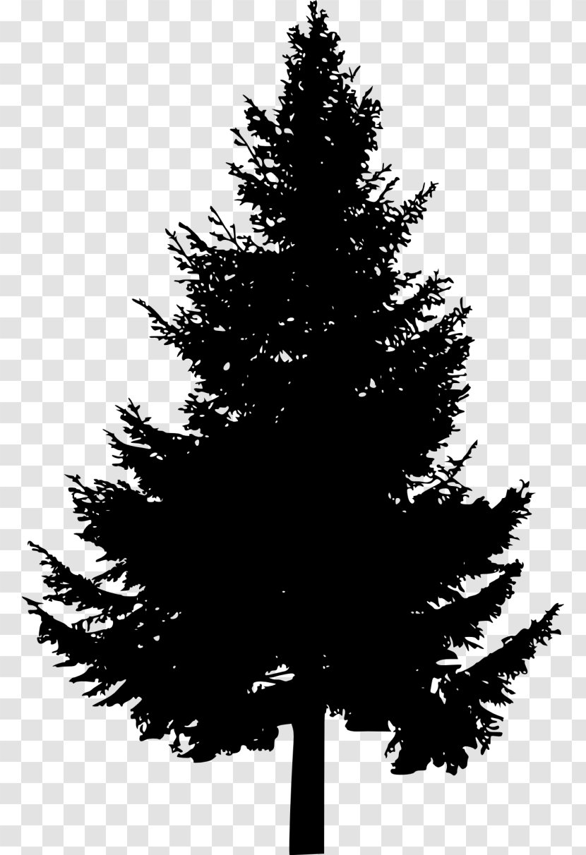 Pine Tree Conifers Clip Art - Black And White - Arbol Transparent PNG