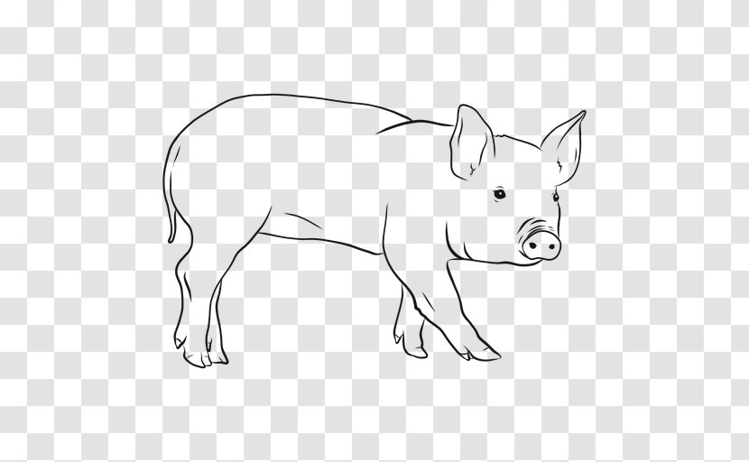 Domestic Pig Farming Snout Illustration - White Rhinoceros - Auricular Transparency And Translucency Transparent PNG