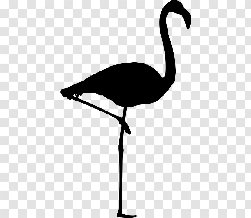 Bird Goose Silhouette Flamingo Clip Art - Drawing Transparent PNG