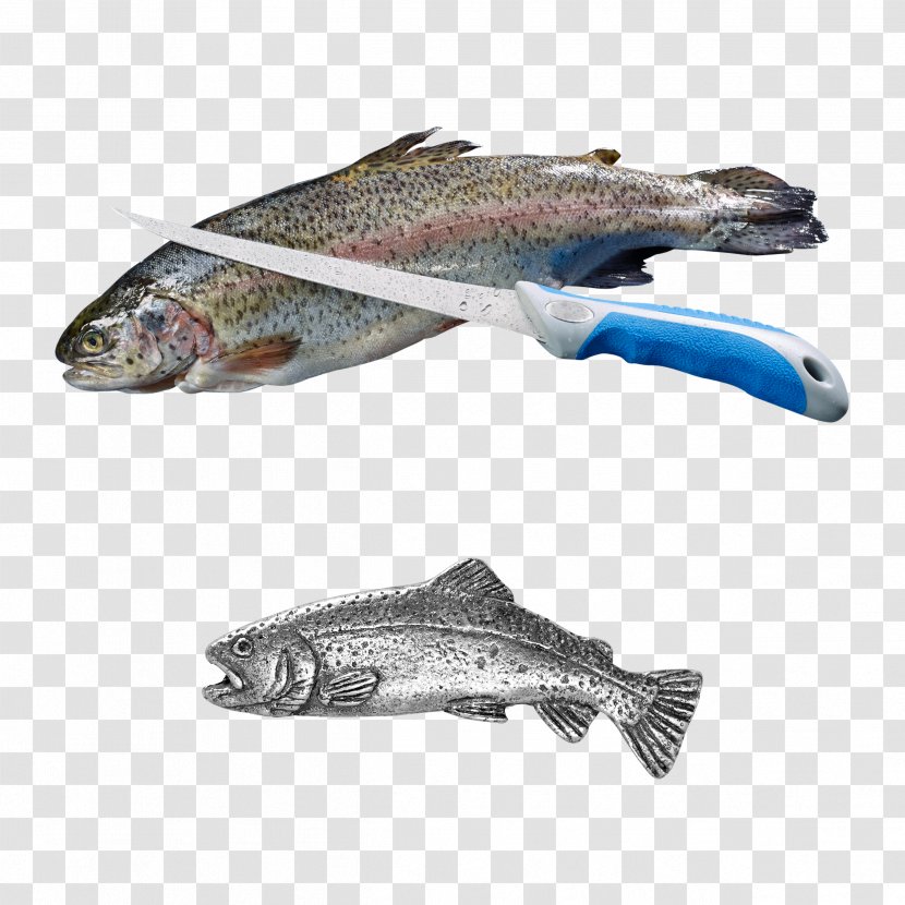 Hunting Fishing Askari Salmon Fürst-Pless-Horn - Europe Transparent PNG