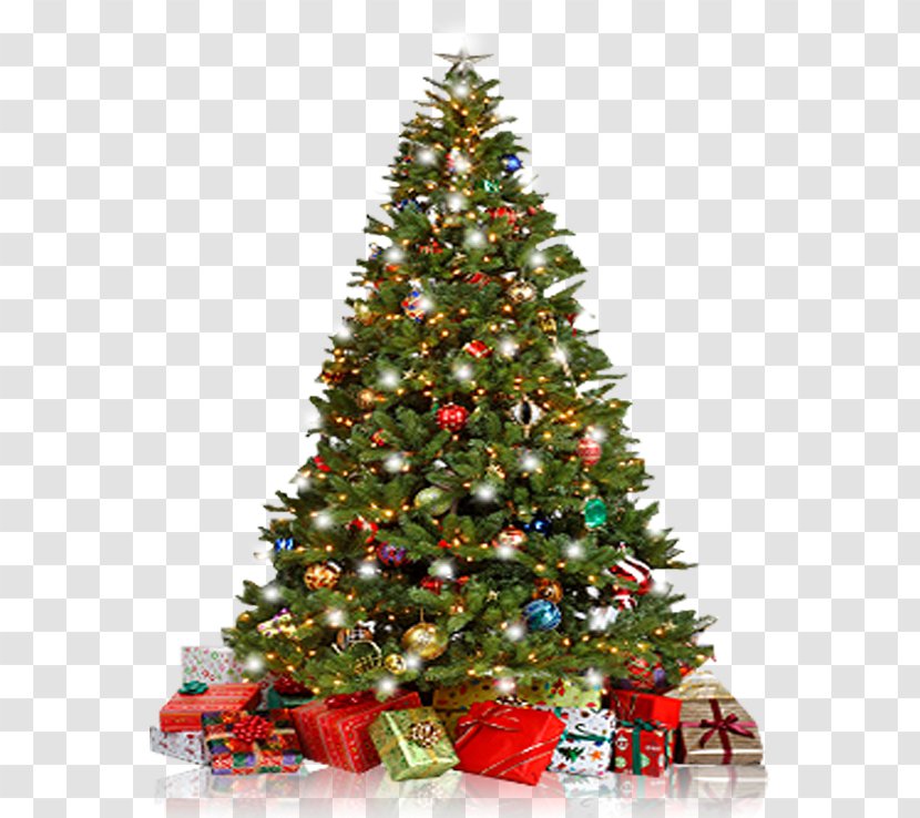 Christmas Tree Ornament New Year Spruce - Fir Transparent PNG