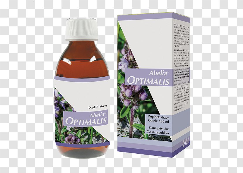 Detoxification Herbalism Medicine Dietary Supplement - Organism - Wild Thyme Transparent PNG