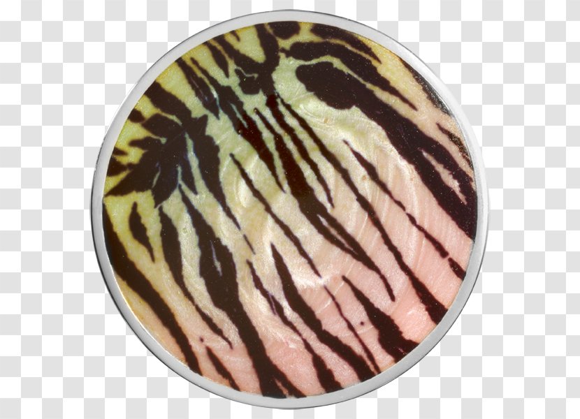 Tiger Silver Coin Fur Plating Transparent PNG
