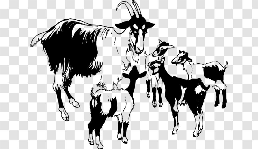 Clip Art Openclipart Vector Graphics Black Bengal Goat Illustration - Mammal - Criminal Procedure Transparent PNG