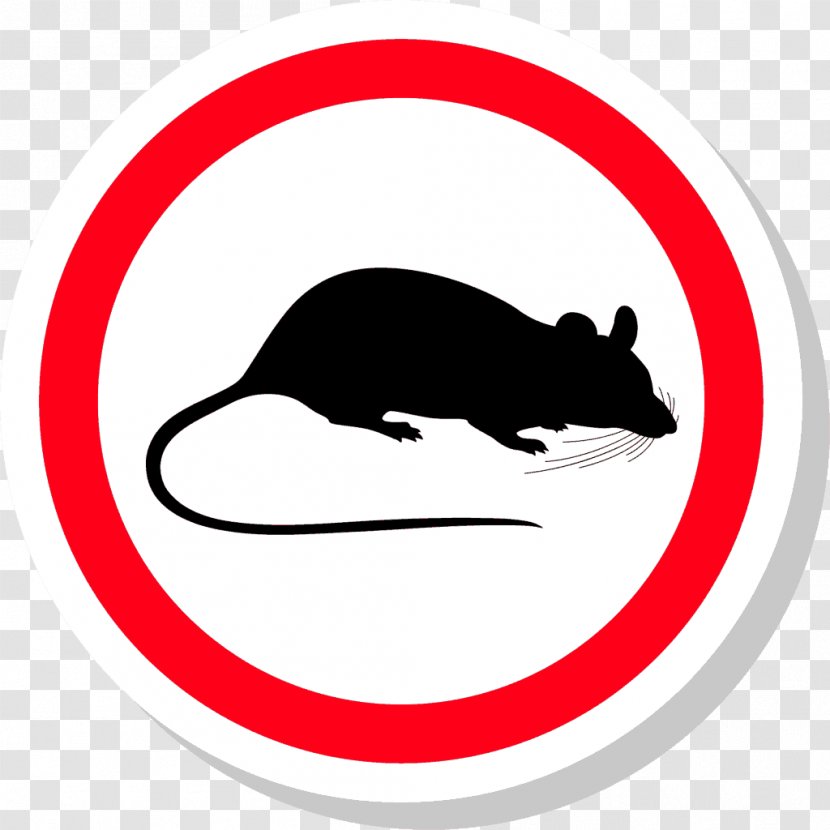 Rat Mouse Pest Control Rodent - Fly Transparent PNG