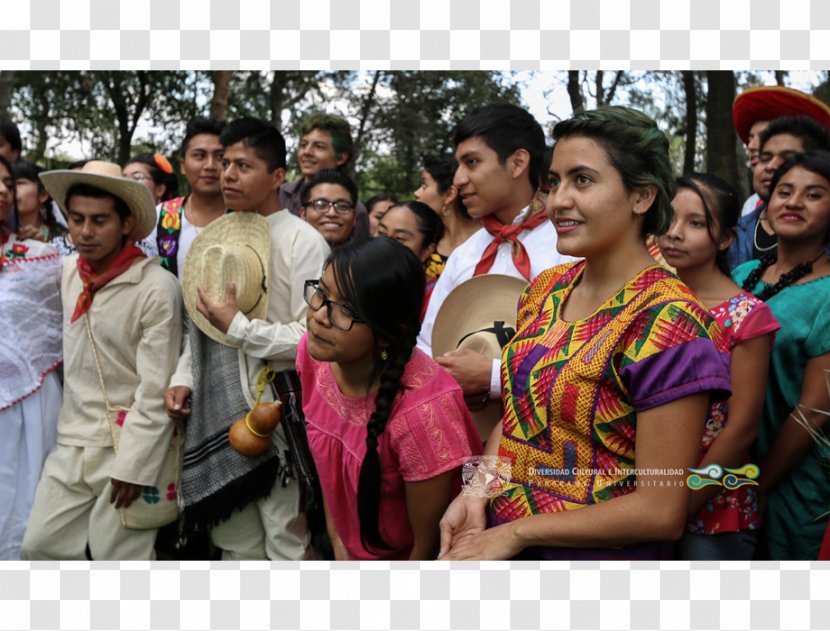 Sari Abdomen - Crowd - Comida Transparent PNG