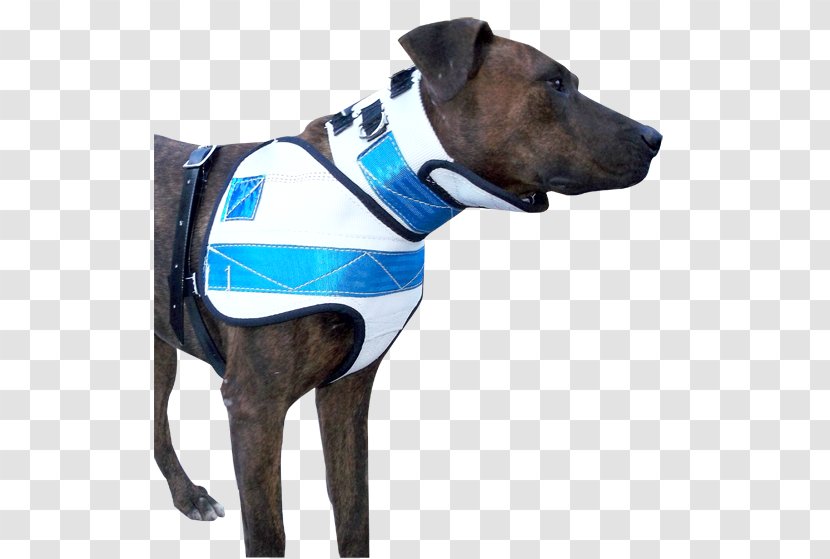 Dog Collar Australian Shepherd Leash Bark'n For Bacon - Breastplate - Sewn Up Transparent PNG
