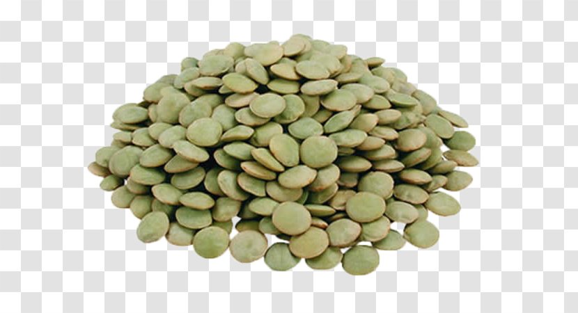 Nut Lentil Legume Seed Bean - Lima - Vegetable Transparent PNG