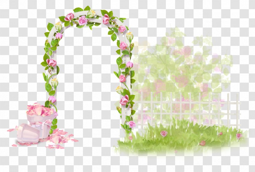 Flower PhotoScape Clip Art - Petal - Dreamy Transparent PNG