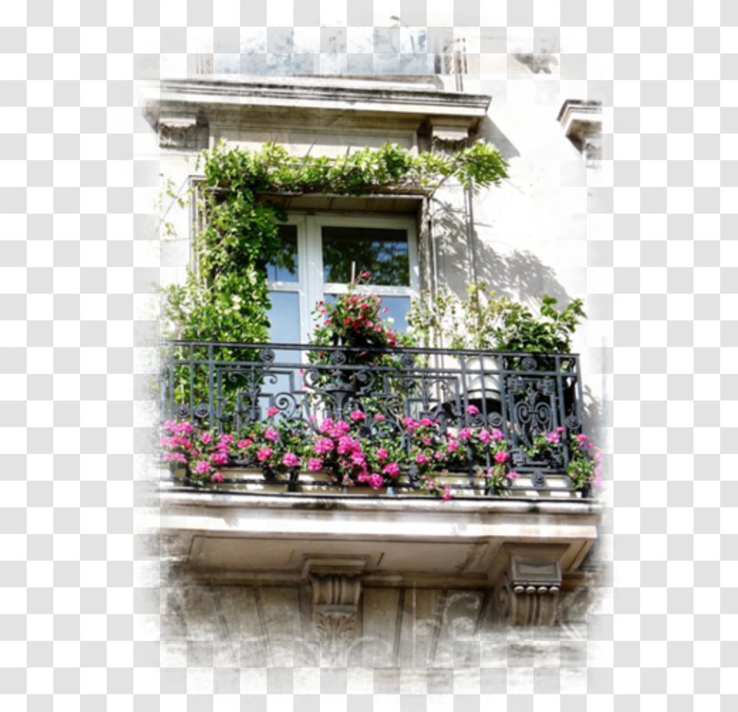 Window Facade Flower Property Balcony Transparent PNG