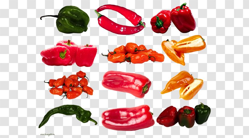 Habanero Piquillo Pepper Bell Tabasco Serrano - Ingredient - Black Transparent PNG