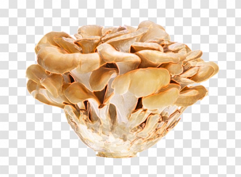 Hen-of-the-wood Oyster Mushroom Vitamin D Edible - Bladder Cancer Transparent PNG