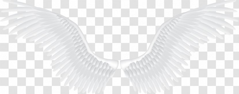 Light Angel - Feather Transparent PNG