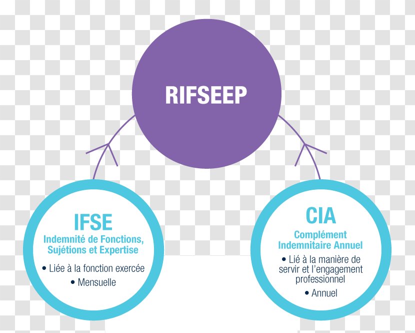 RIFSEEP Organization Public Scientific And Technical Research Establishment Centre National De La Recherche Scientifique Civil Service - Presentation - Remuneration Transparent PNG