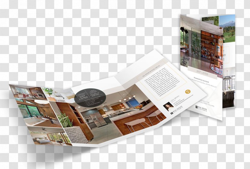 Brochure Smaug Property - Art - Trifold Brochures Transparent PNG