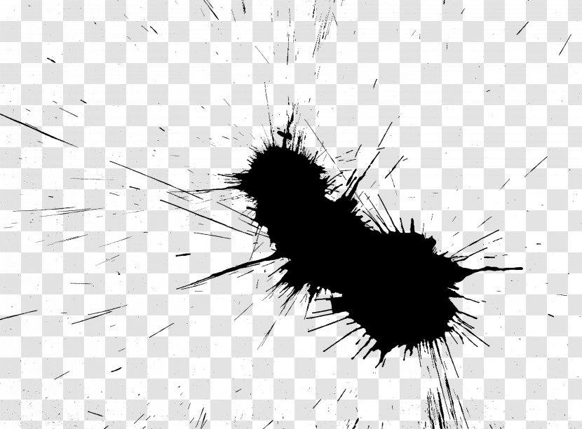 Insect Paper Black And White Drawing Watercolor Painting - Monochrome - 30 Transparent PNG