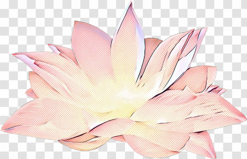 Petal Cut Flowers Pink M - Lotus Family Transparent PNG