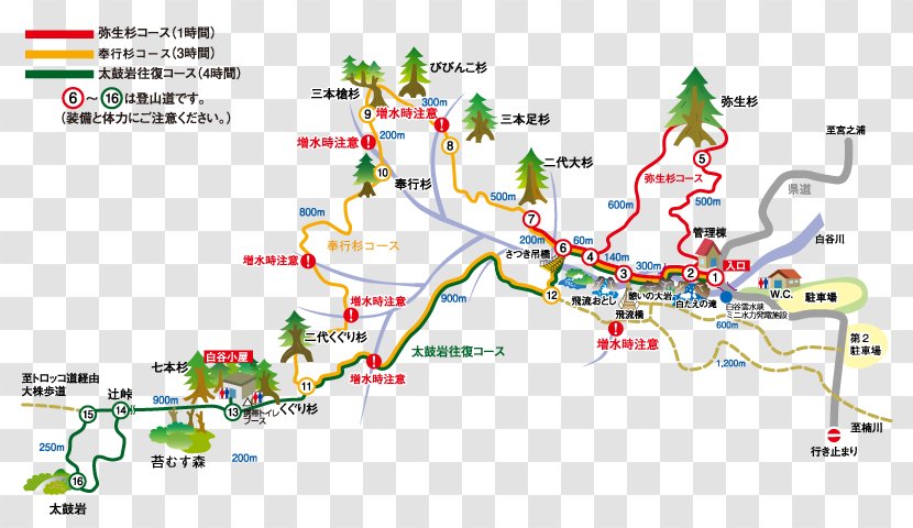 Shiratani Unsui Gorge Jōmon Sugi Mt. Miyanoura 太鼓岩 Yakusugi - Intersection - Information Map Transparent PNG