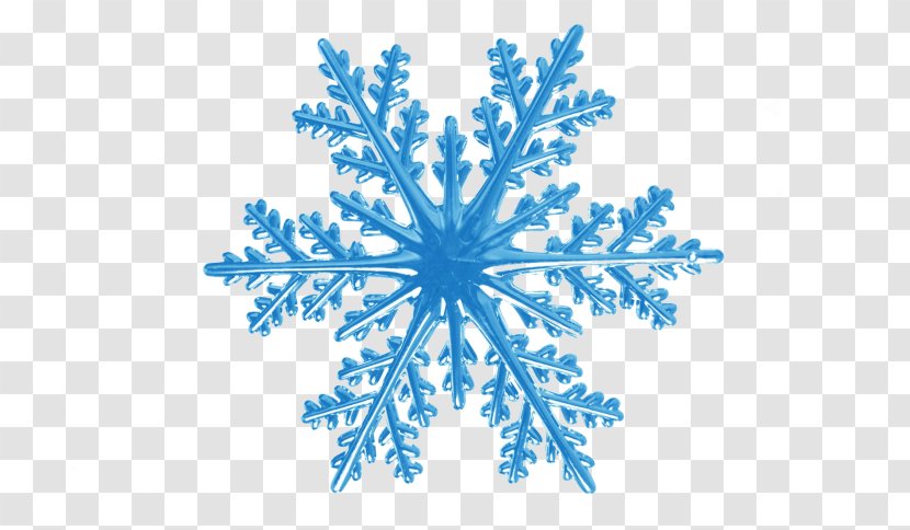 Snowflake Rotational Symmetry - Organism Transparent PNG