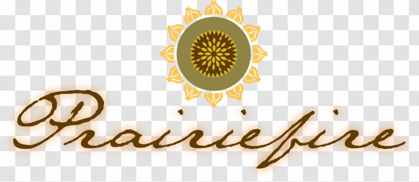 Museum At Prairiefire Logo Brand Font - Mary Kay Foundation Coverage Transparent PNG