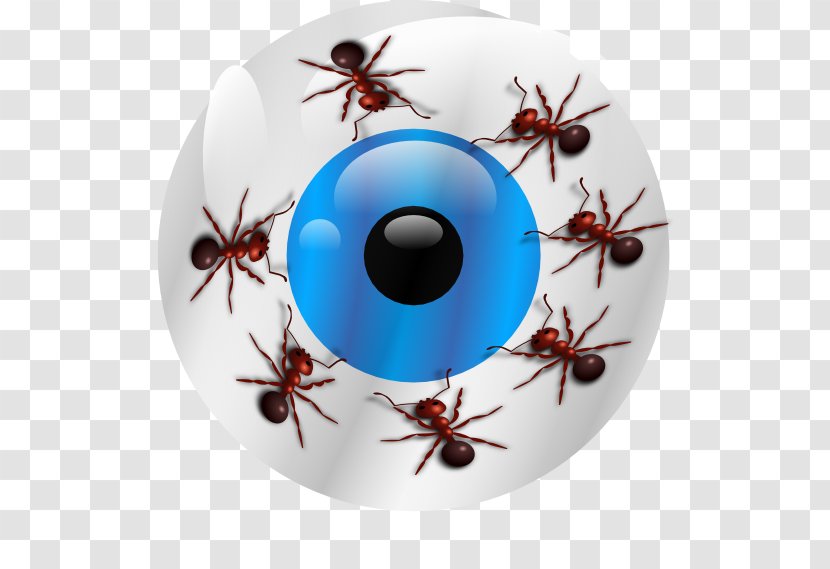 Insect Invertebrate Pest Christmas Ornament Eye - Ants Transparent PNG