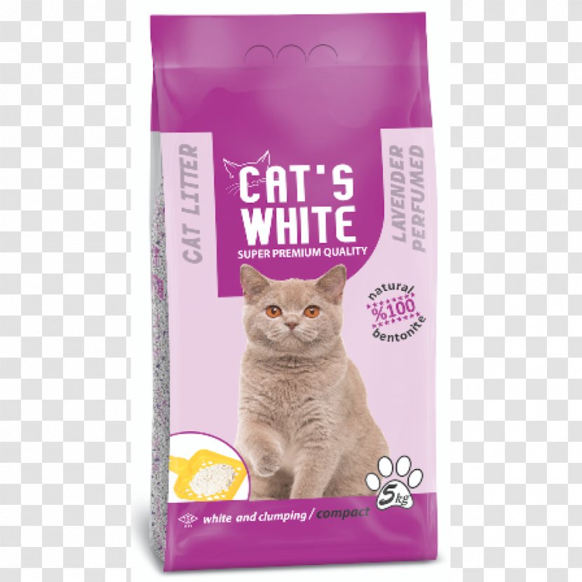 van cat litter