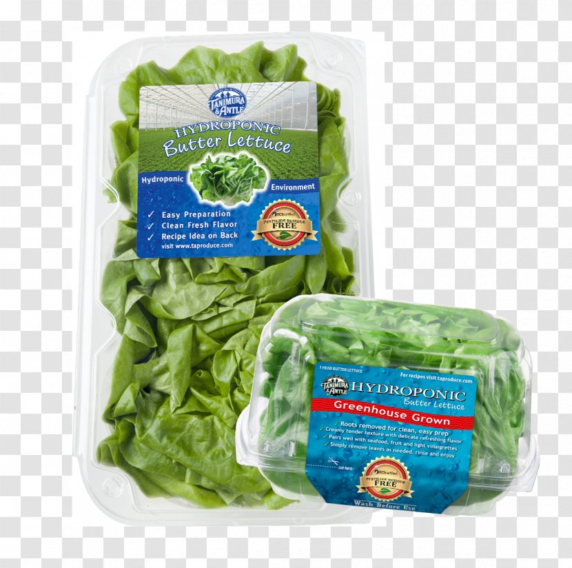 Lettuce Pesticide Residue Tanimura & Antle - Label Transparent PNG