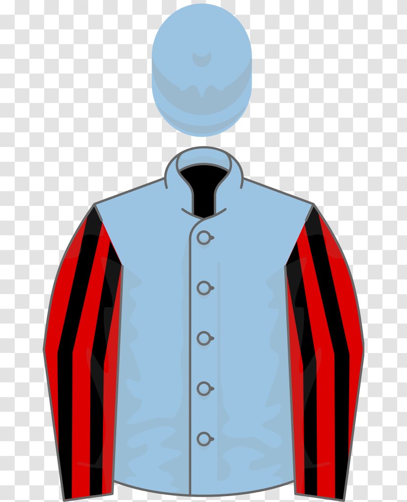 Thoroughbred Queen Mother Champion Chase National Hunt Challenge Cup 2000 Guineas Stakes Horse Racing - Sports Uniform - Parry Transparent PNG