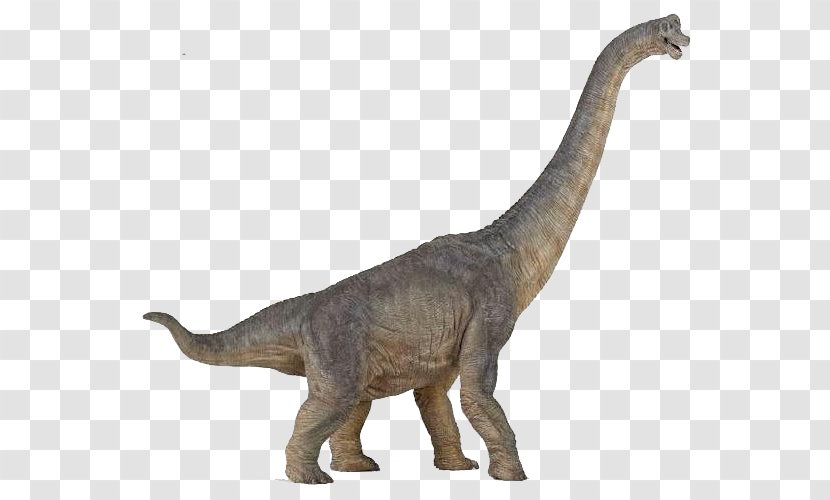 Brachiosaurus Tyrannosaurus Dinosaur Morrison Formation Baryonyx - World - Long Neck Transparent PNG