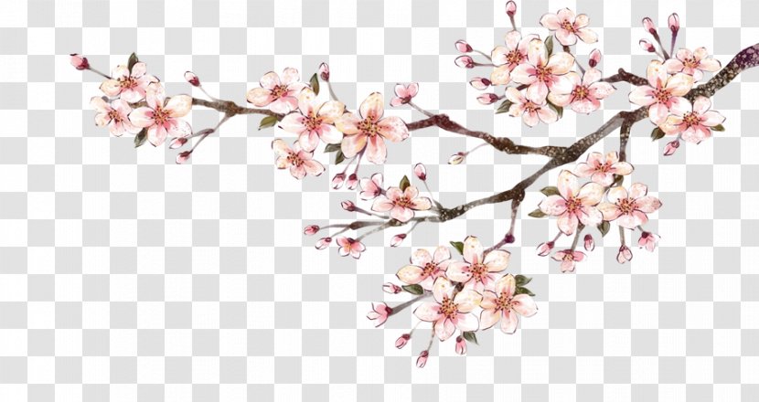 Plum Blossom Ink Wash Painting - Chinese - Flower Transparent PNG