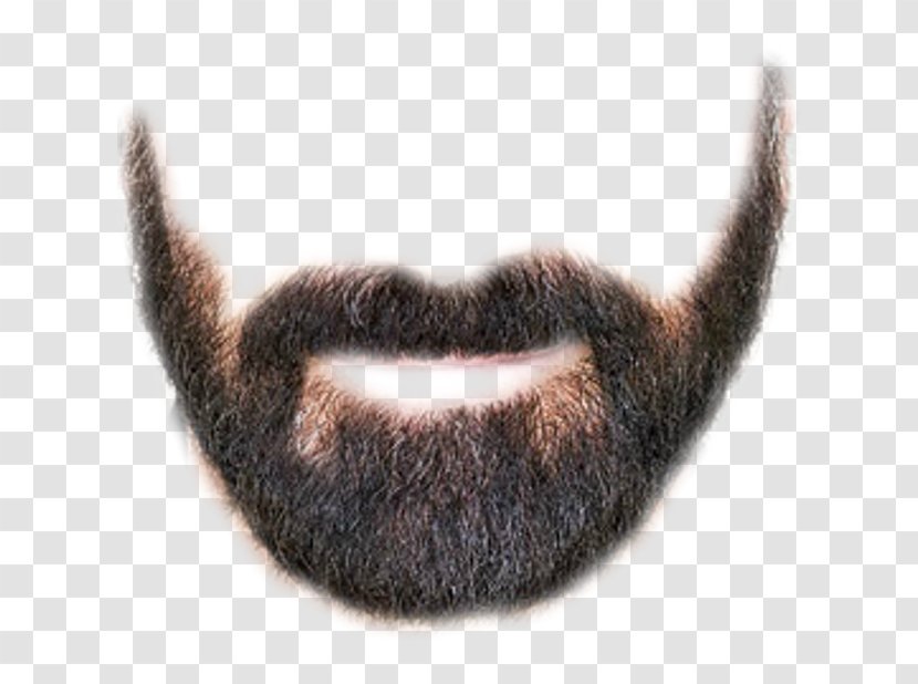 Goatee Beard Whiskers Hairstyle Transparent PNG