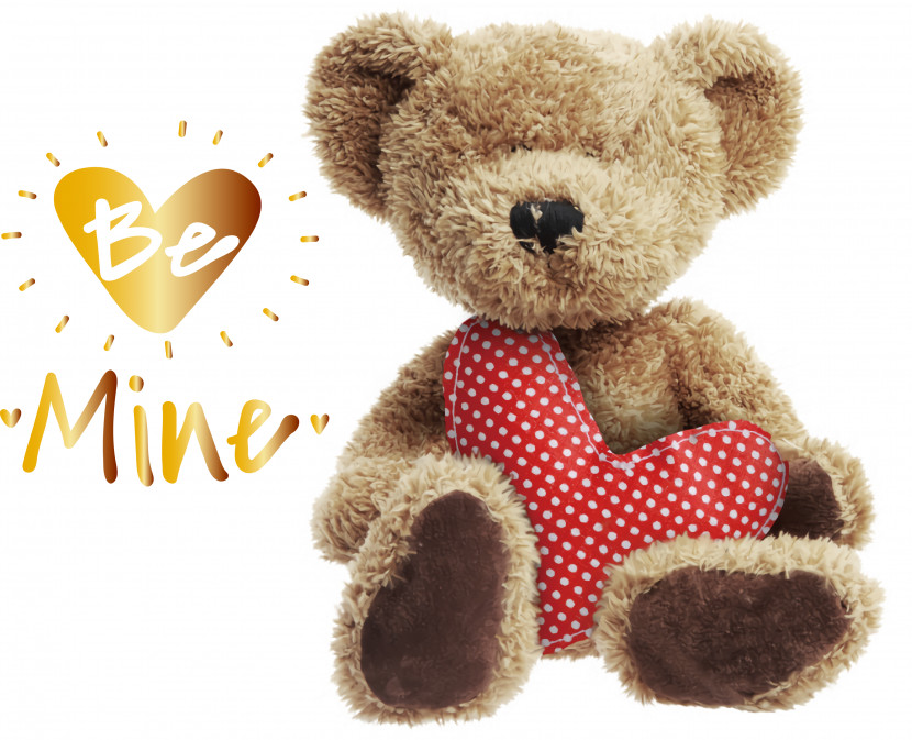 Teddy Bear Transparent PNG