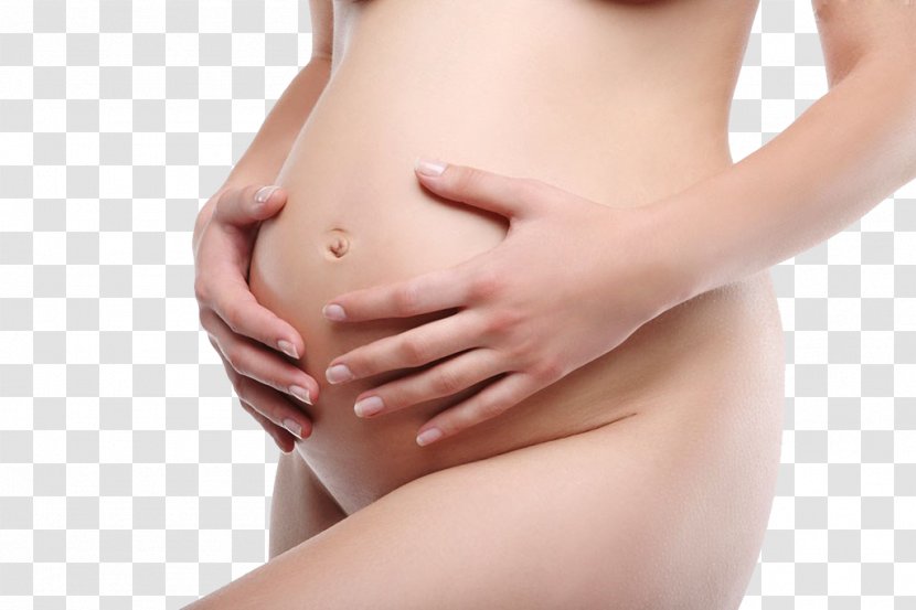 Pregnancy Mother Abdomen Woman Placenta - Tree - Pregnant Woman,belly,pregnancy,Mother,Pregnant Transparent PNG