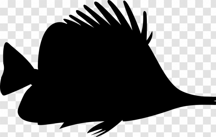 Beak Clip Art Fauna Silhouette Fish - Tail Transparent PNG