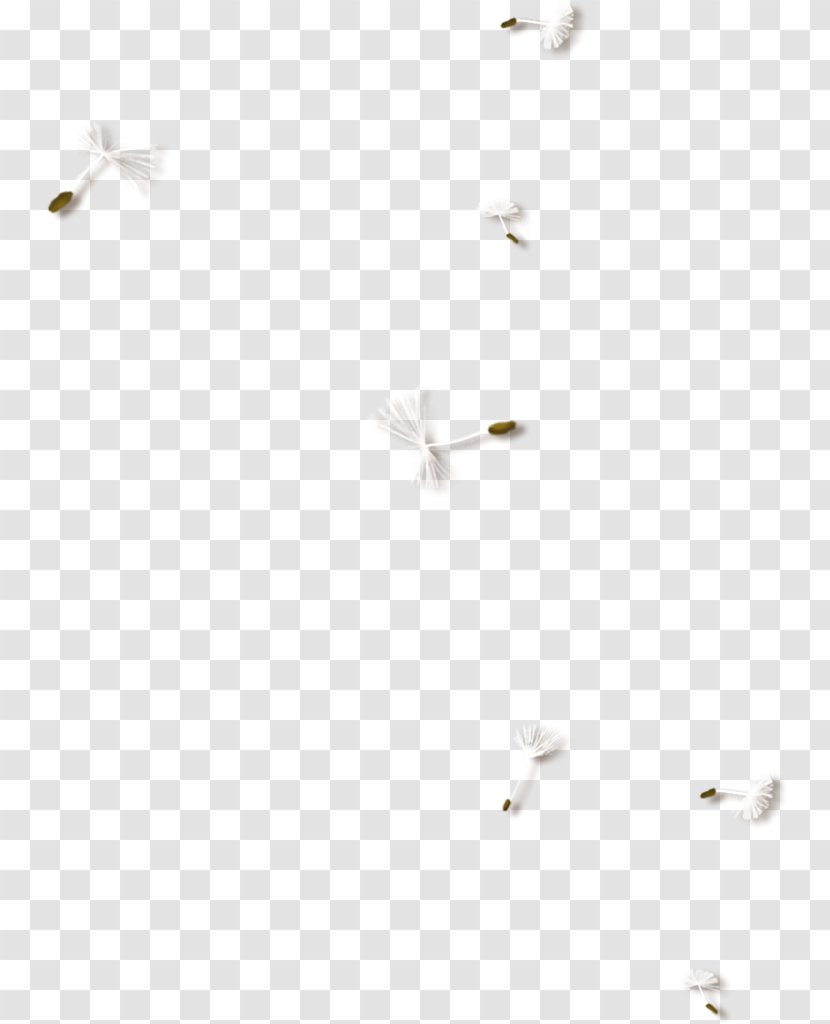 Dandelion Download - White Transparent PNG