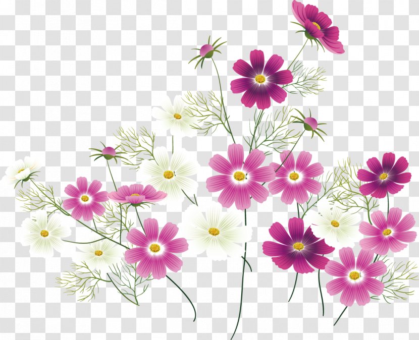 Wildflower Clip Art - Blossom - Decorative Motifs,wedding,Corner Flower Transparent PNG