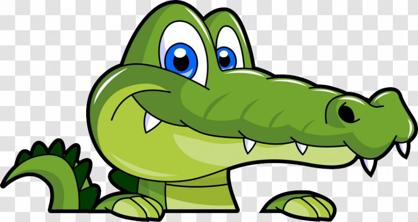 Alligators Cartoon Clip Art - Vertebrate - Alligator Transparent PNG