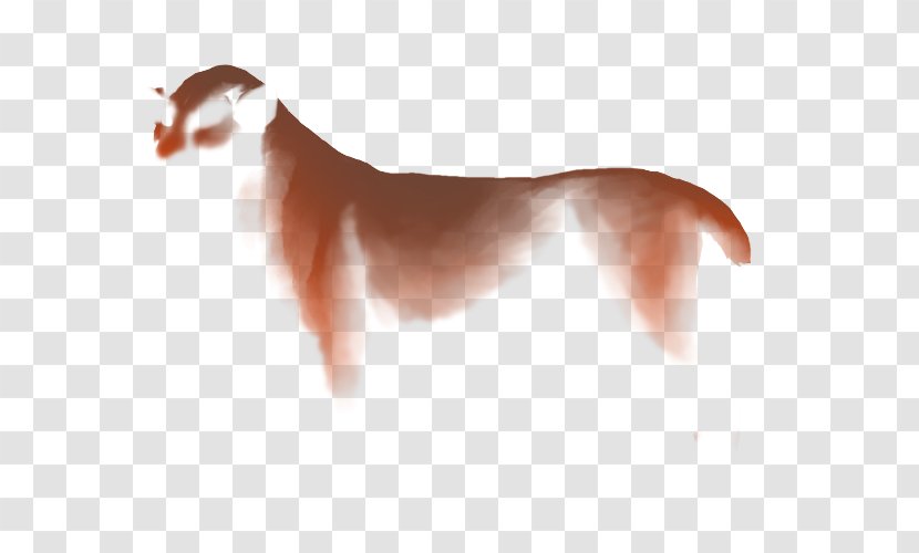 Dog Breed Italian Greyhound Puppy Companion - Carnivoran Transparent PNG
