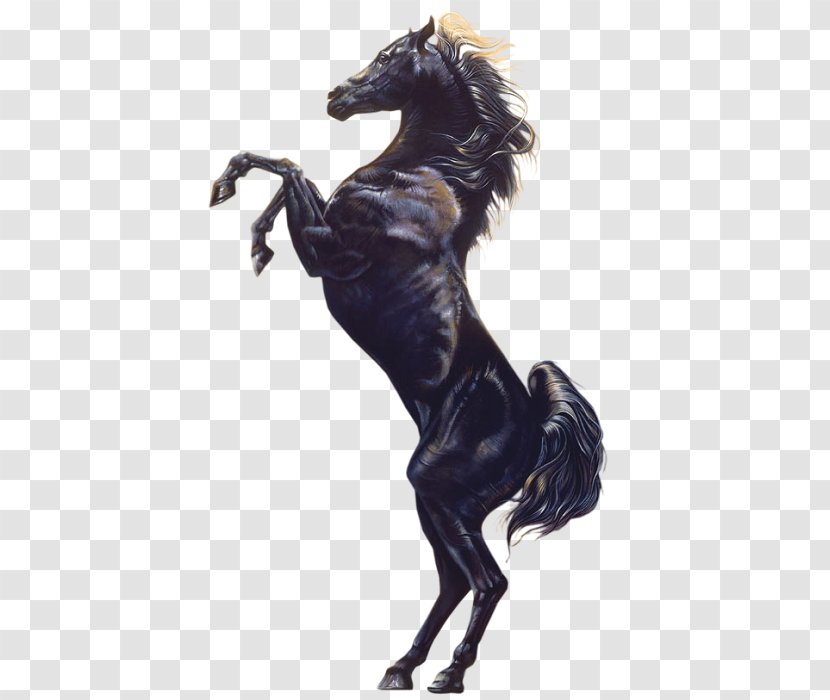 Stallion Arabian Horse YouTube Black Film - Youtube Transparent PNG