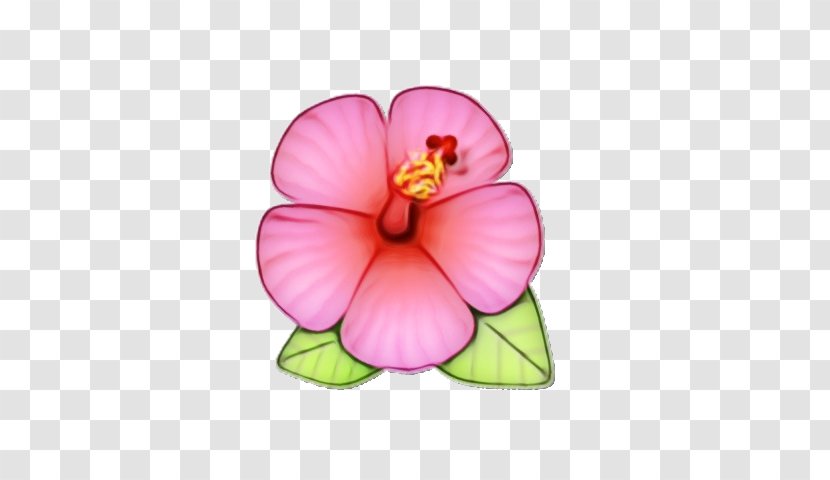 Pink Flower Cartoon - Chinese Hibiscus - Moth Orchid Impatiens Transparent PNG