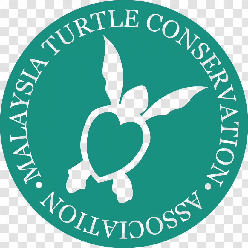 Sea Turtle Conservancy Organization Conservation Transparent PNG
