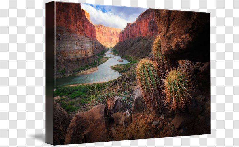 Canvas Print Work Of Art Printing - Formation - Cactus Canyon Transparent PNG