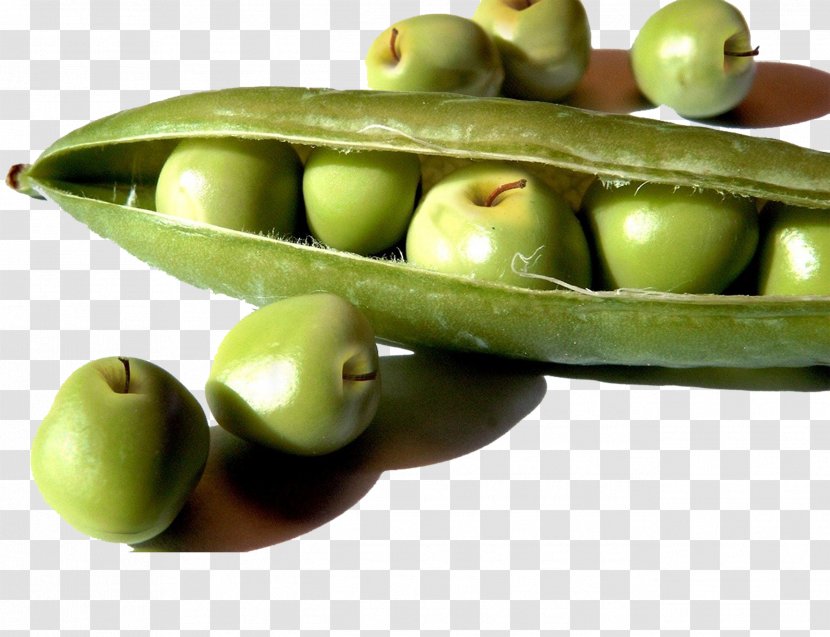 Wrap Pea Soybean Food Genetically Modified Organism - Creative Green Apple Pods Transparent PNG