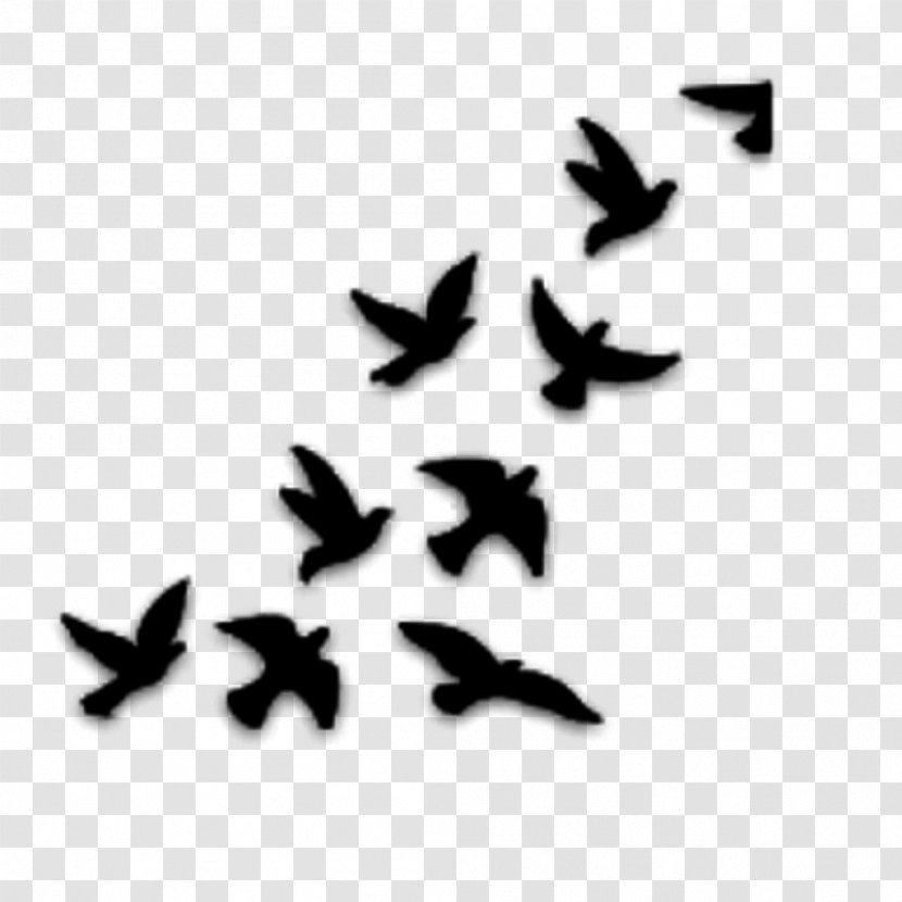 Bird Drawing YouTube Stencil - Beak Transparent PNG