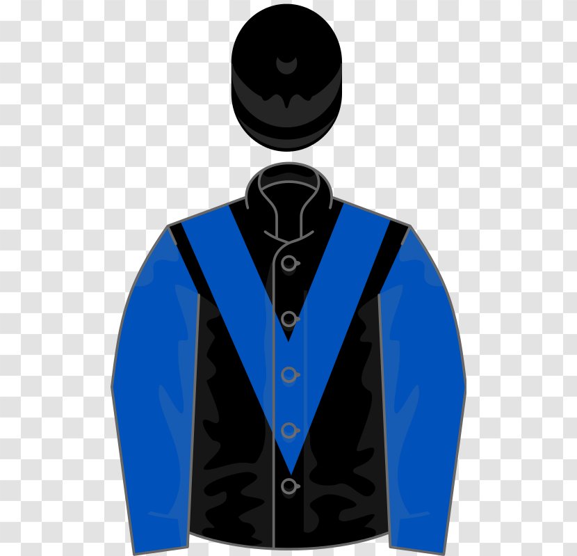 Ascot Racecourse Gold Cup Horse Fighting Fifth Hurdle King George VI And Queen Elizabeth Stakes - Security Transparent PNG