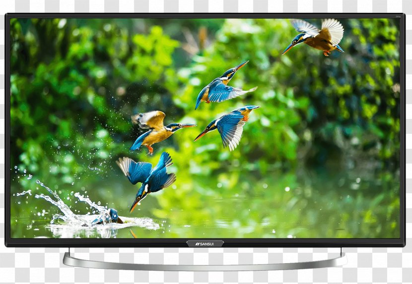 LED-backlit LCD High-definition Television Sansui Electric Smart TV - Media - Led Tv Transparent PNG