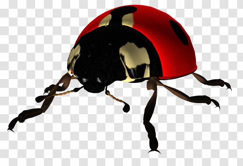 Beetle Ladybird Embroidery Clip Art - Membrane Winged Insect - Ladybug Transparent PNG
