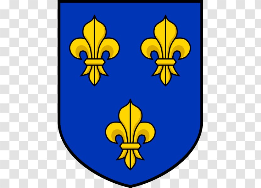National Emblem Of France Flag And Coat Arms Île-de-France Crest - Yellow Transparent PNG